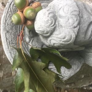 Meet your Posher, Annie